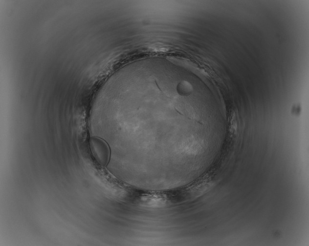 X0000111480559200907281205
