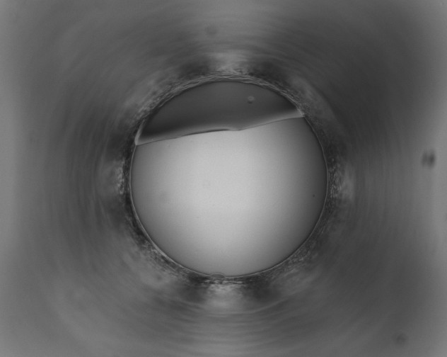X0000111480560200907281205