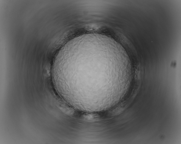 X0000111480561200907281205
