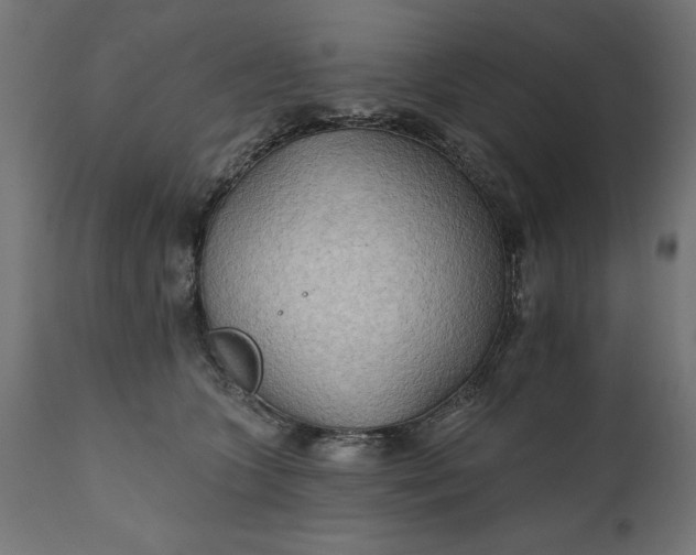 X0000111480563200907281205