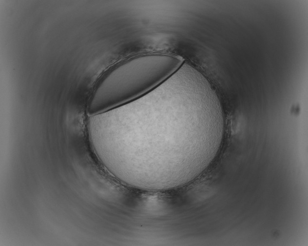 X0000111480564200907281205