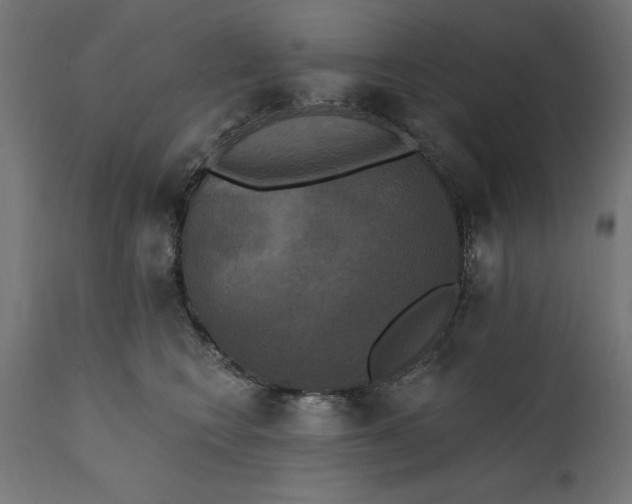 X0000111480566200907281205