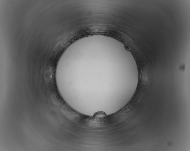 X0000111480567200907281205