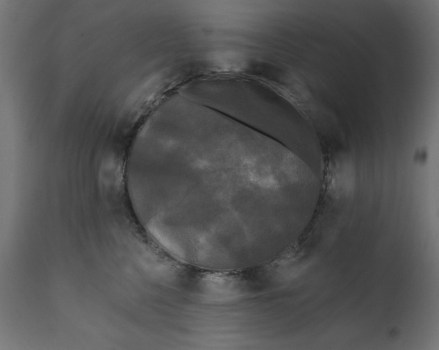 X0000111480568200907281205