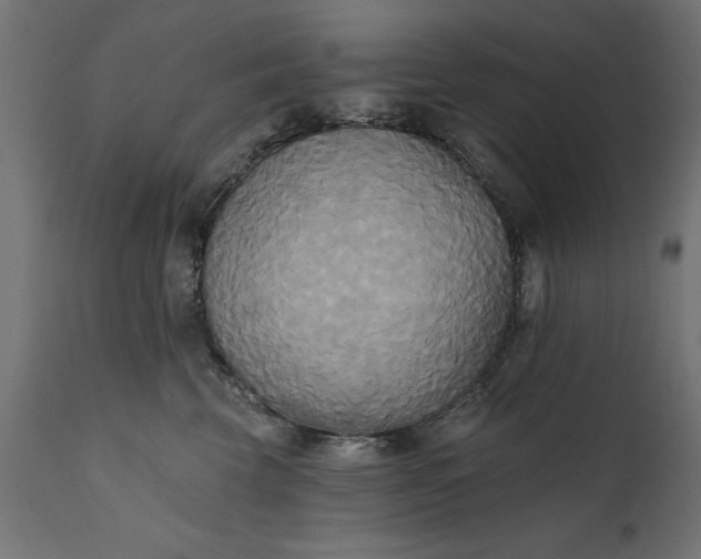 X0000111480569200907281205