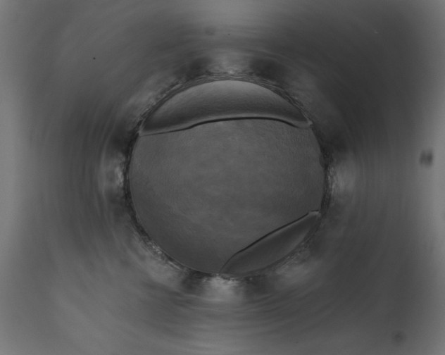 X0000111480570200907281206