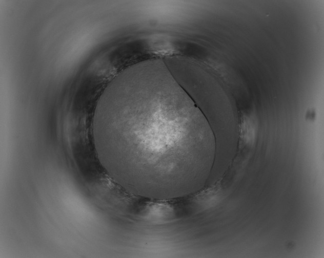X0000111480572200907281206