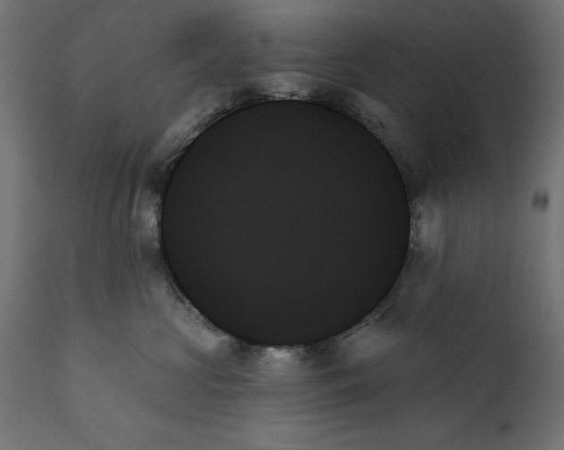 X0000111480573200907281206
