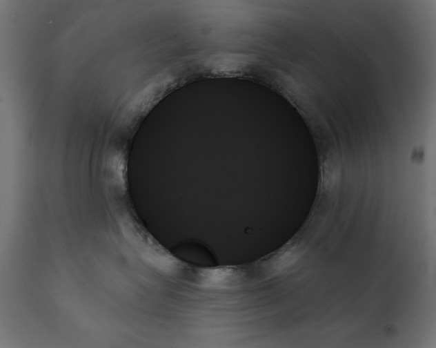 X0000111480575200907281206