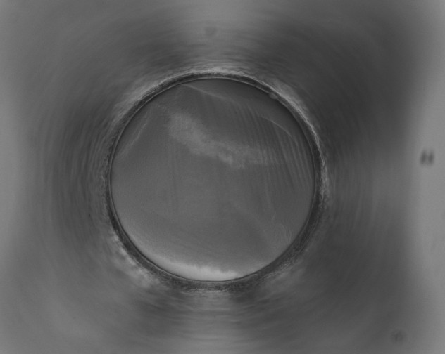 X0000111480577200907281205