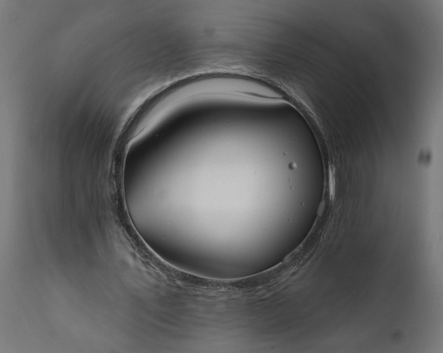 X0000111480579200907281205