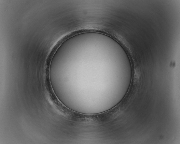X0000111480580200907281205
