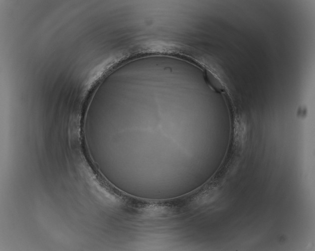 X0000111480581200907281205