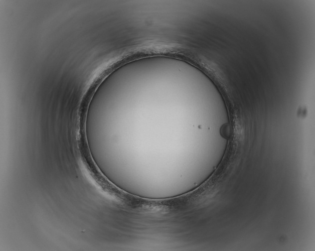 X0000111480582200907281205