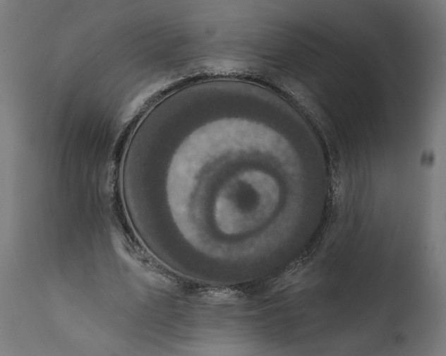 X0000111480583200907281205