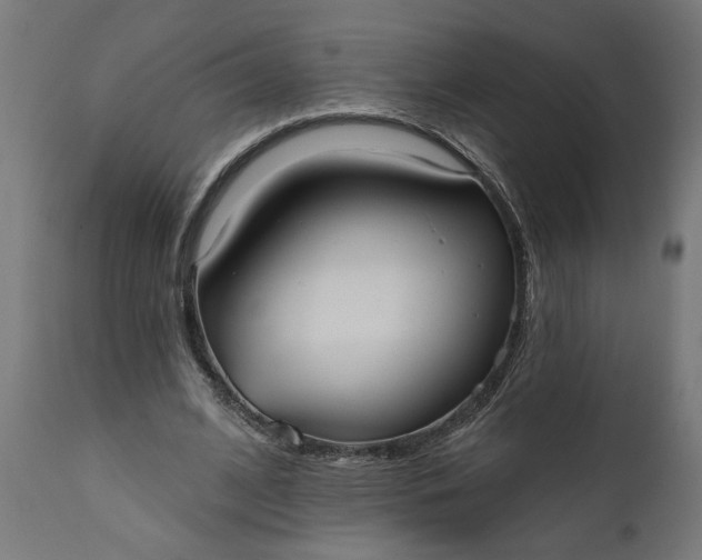 X0000111480584200907281205