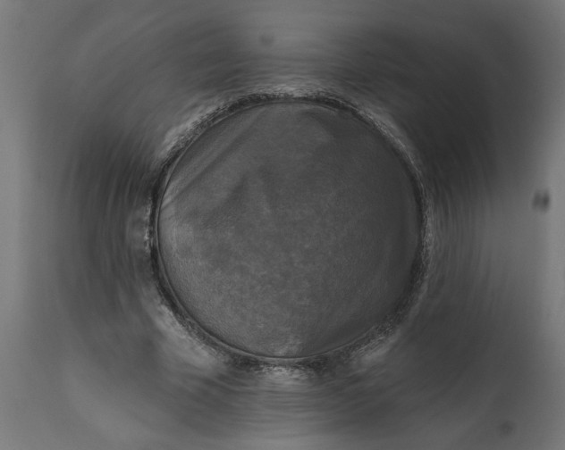 X0000111480585200907281205
