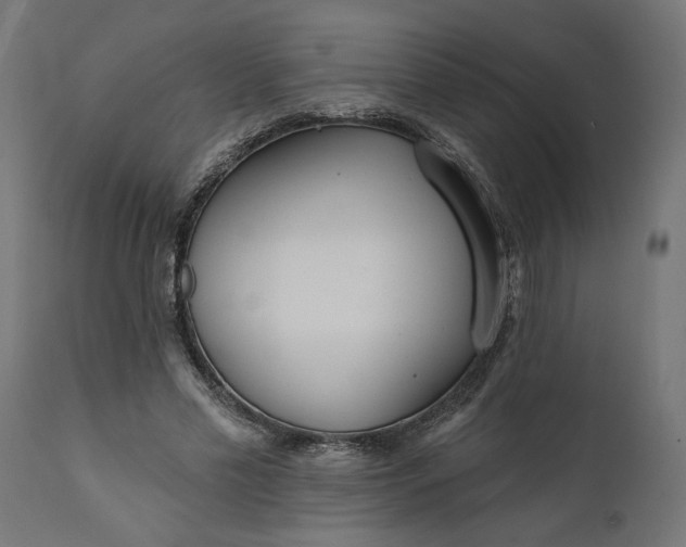 X0000111480589200907281205