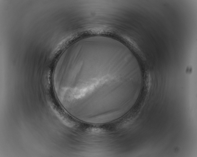 X0000111480590200907281205