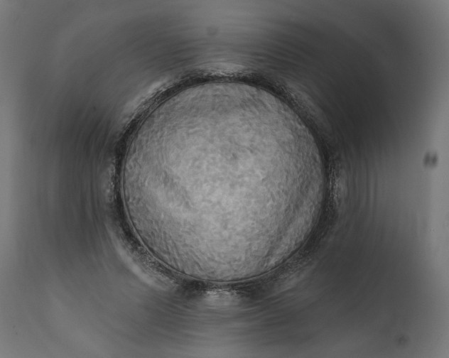 X0000111480591200907281205