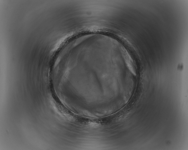 X0000111480592200907281205
