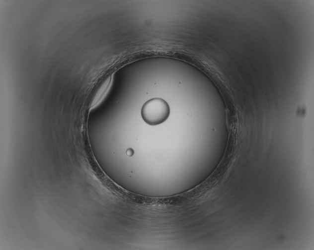 X0000111480593200907281205