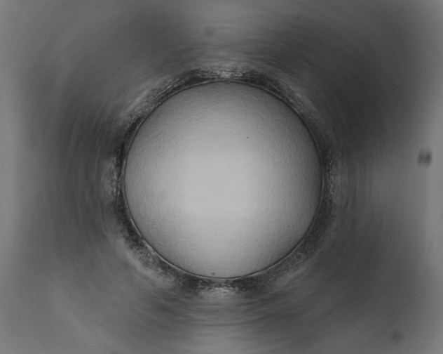 X0000111480594200907281205
