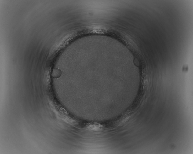 X0000111480595200907281205
