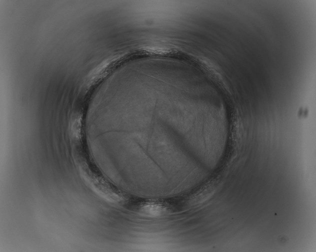 X0000111480596200907281205