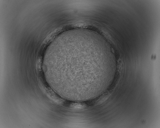X0000111480597200907281205