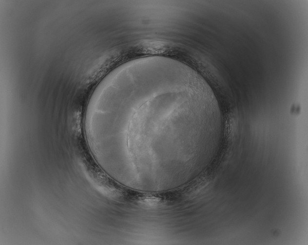X0000111480598200907281205