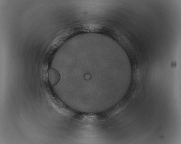 X0000111480599200907281205