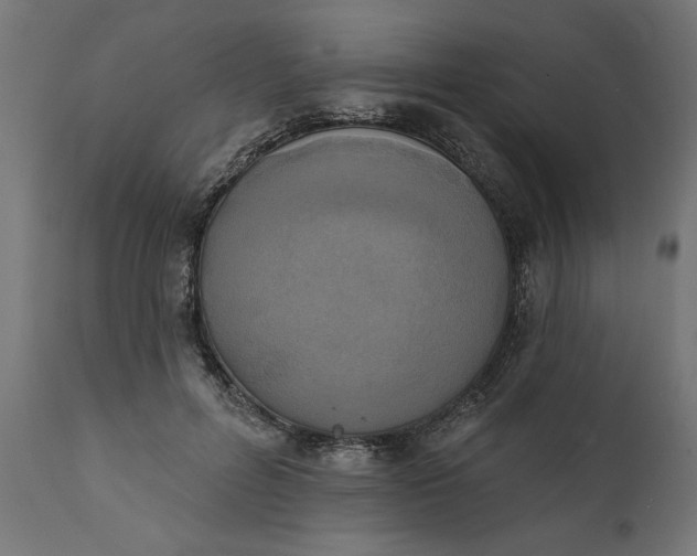 X0000111480600200907281205