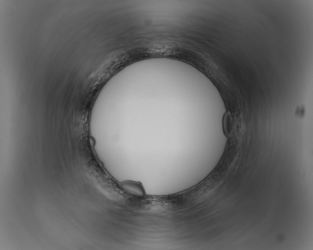 X0000111480601200907281205