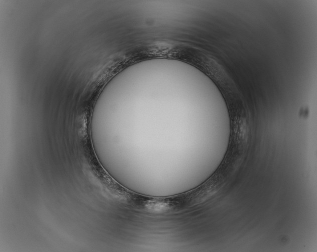 X0000111480602200907281205