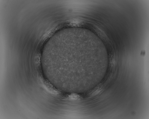 X0000111480603200907281205