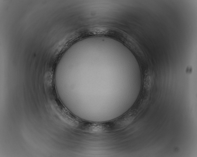 X0000111480604200907281205