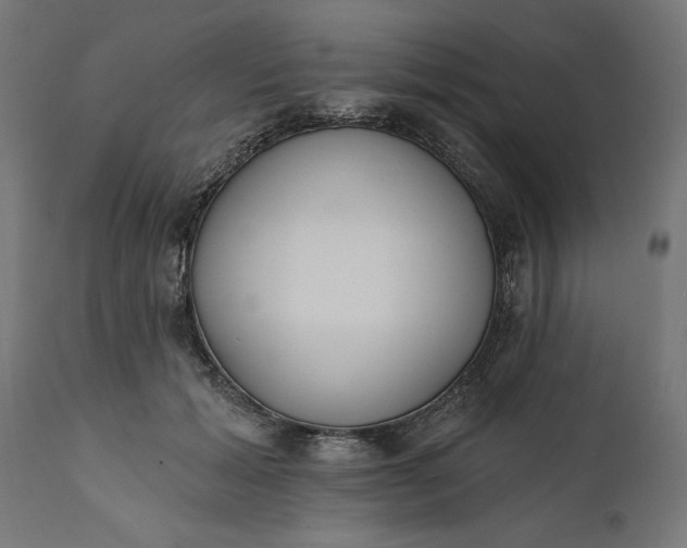X0000111480605200907281205