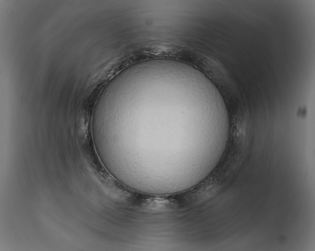 X0000111480607200907281205