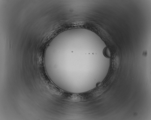 X0000111480608200907281204