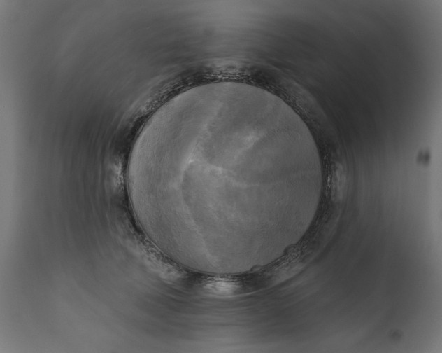 X0000111480610200907281204