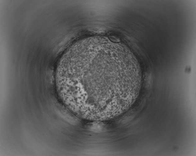 X0000111480612200907281204