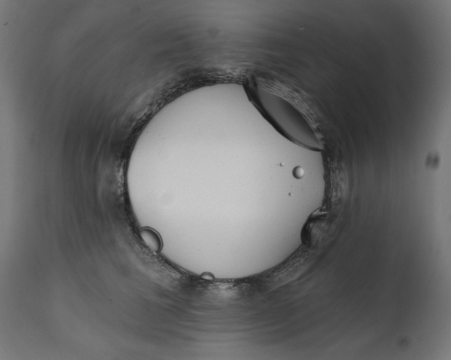 X0000111480613200907281204