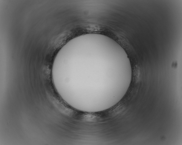 X0000111480614200907281204