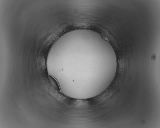 X0000111480617200907281204