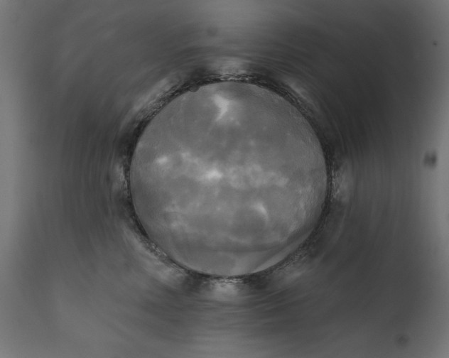 X0000111480618200907281204