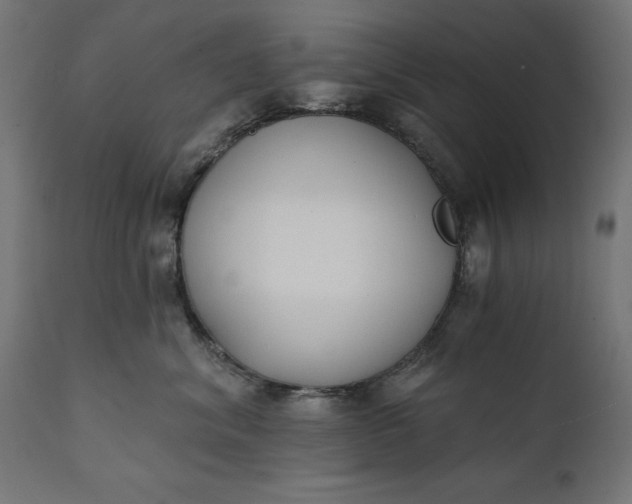 X0000111480620200907281204