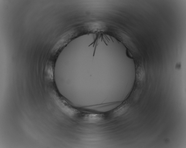 X0000111480622200907281204