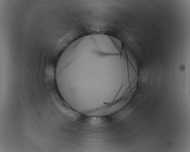 X0000111480623200907281204
