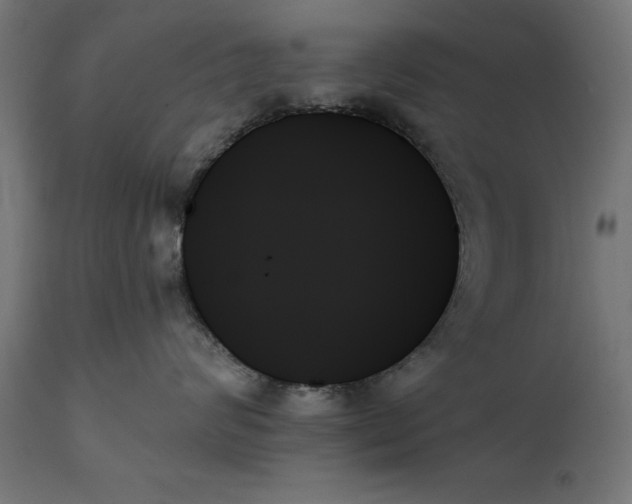 X0000111480624200907281204
